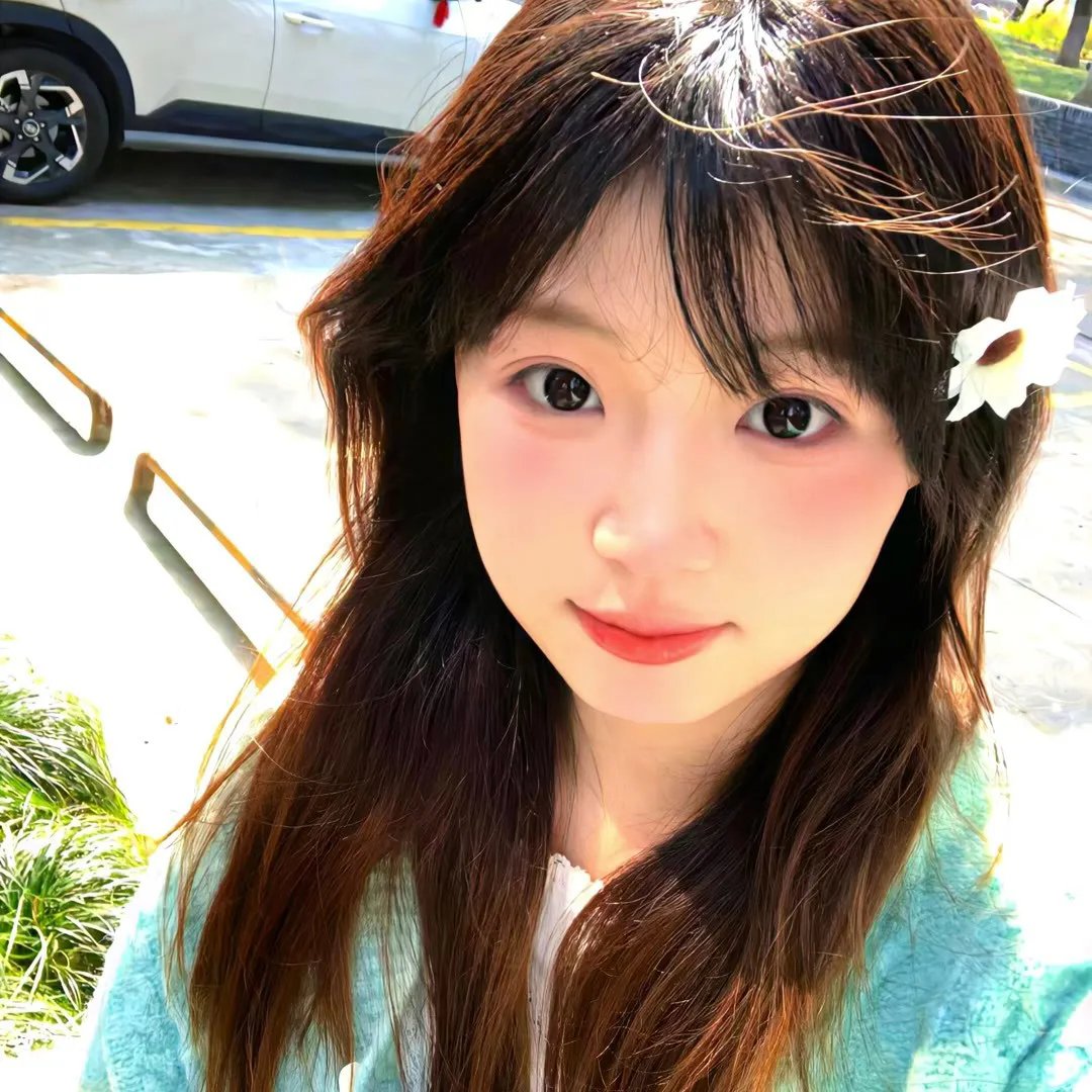 沙之花也有春天 海报